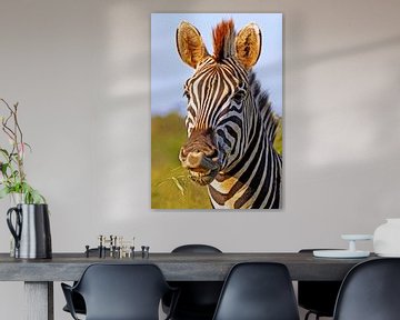 Zebra in Africa van W. Woyke