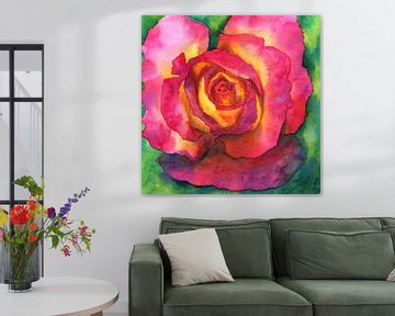 Mooie roos aquarel schilderij van Karen Kaspar