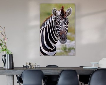 Zebra - Africa wildlife van W. Woyke