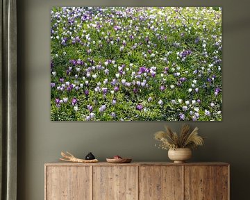 Grasveld met krokussen in de lente van Peter de Kievith Fotografie