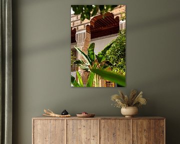 Moroccan garden with plants in the sunlight by Sandra Schmidt