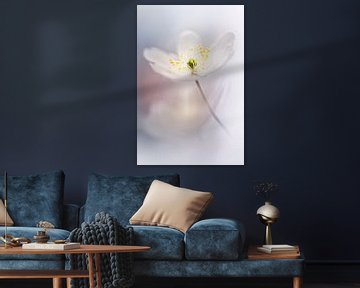 Romantic depiction of a wood anemone