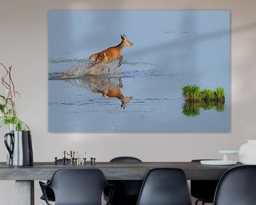Deer in the water by Karin Jähne