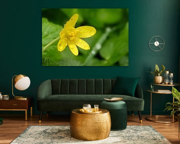 fleur jaune