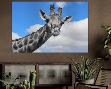 Nieuwsgierige Giraffe Portret ck van Barbara Fraatz