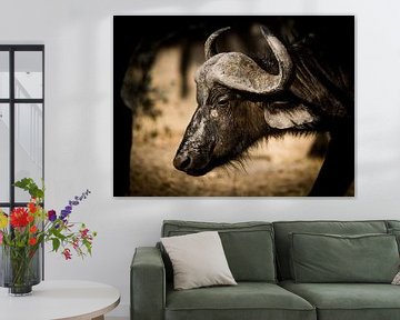 Buffalo in Africa by Omega Fotografie