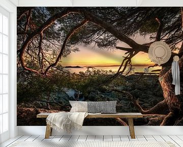 Alter Baum am Meer im Sonnenuntergang von Voss Fine Art Fotografie