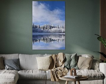 Première neige sur le forest sur Claude Laprise