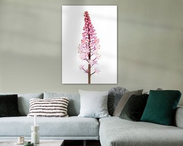 Macro of a Tiarella flower on a white background