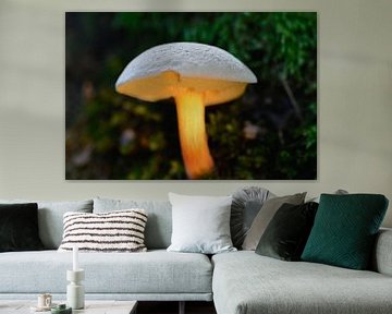 paddenstoel  van Emanuel Luyten