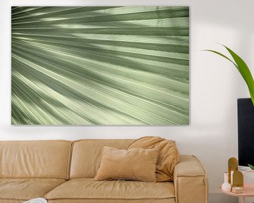 Groen tropisch blad - minimalisme natuur fotografie van Christa Stroo fotografie