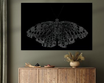 Schmetterling | Bildende Kunst | Schwarz-Weiß von Femke Ketelaar
