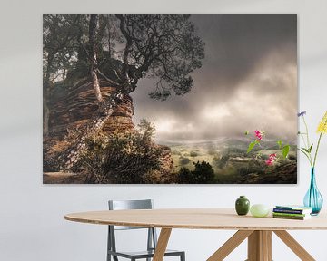Atmosferisch licht in het Pfälzerwald in Rijnland-Palts van Voss Fine Art Fotografie