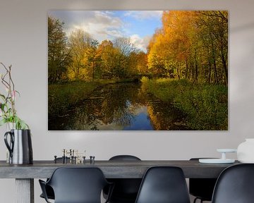 Herfst in de Hollandse Biesbosch von Michel van Kooten