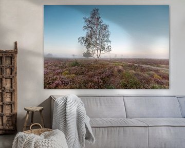 Heather landscape with solitary birch tree by Maarten Zeehandelaar