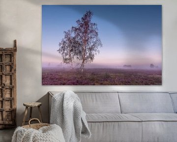 Colourful misty heath landscape with solitary birch tree by Maarten Zeehandelaar