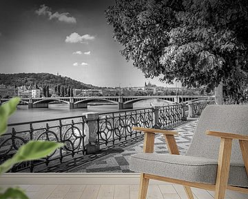 Aan de oevers van de Vltava - Monochroom