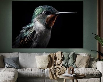 Kolibrie Portret Zwarte Achtergrond van Digitale Schilderijen