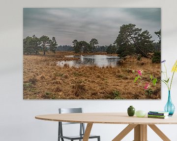 Wandelen in het Brabantse landschap van Bart Cox