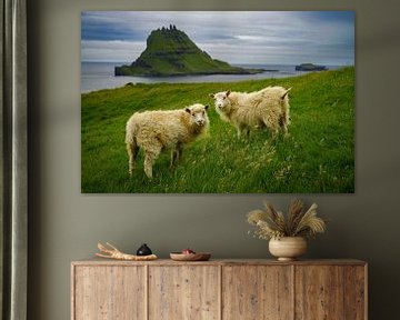 Zwei Schafe auf den Färöer Inseln von Bart Cox