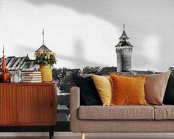 Imperial Castle and the Old Town of Nuremberg - Monochrome by Werner Dieterich
