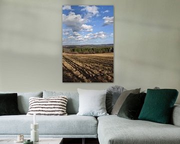 A field after the autumn harvest by Claude Laprise