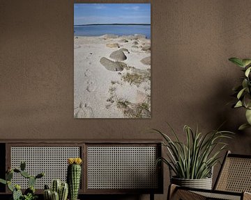 Sand along the great river by Claude Laprise