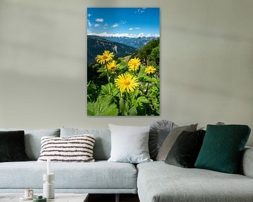 Gele bloemen in de Zwitserse Alpen van Leo Schindzielorz