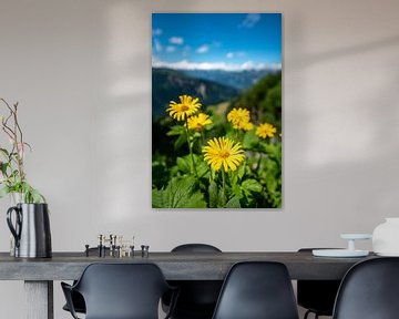 Gelbe Blumen in den Schweizer Alpen von Leo Schindzielorz