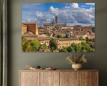 View over the old town of Siena in Italy by Rico Ködder