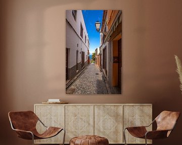 Alley in Icod de los Vinos by Alexander Wolff