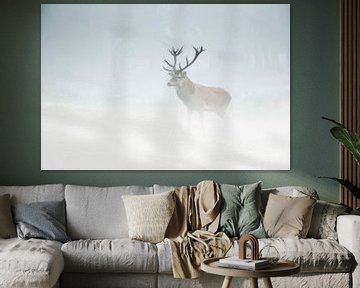 red deer in the mist by jowan iven