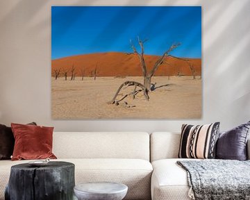 Sossusvlei Namibië van Omega Fotografie