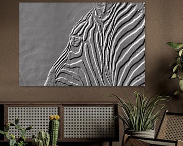 zebra in zwartwit van Jan Fritz