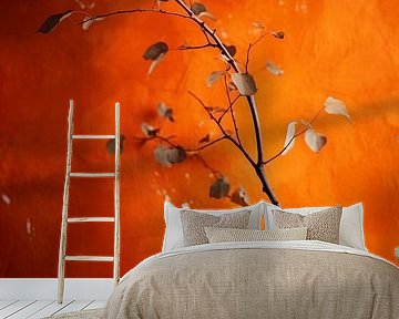 De oranje muur van Treechild