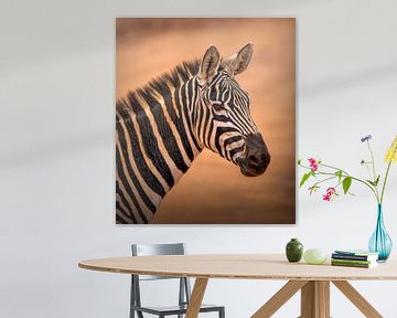 Portret Zebra in Kenia
