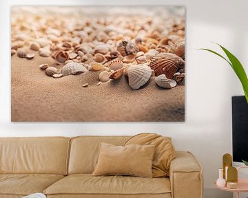 Muscheln Strand von Imagine