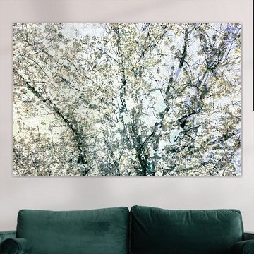 Abstract blossom, part 1.