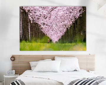 Lente bloesems