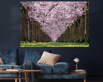 Lente Mooie bloesem bomen
