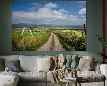 Green landscape in Ireland's mountains