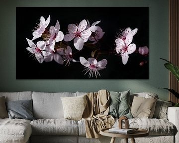 Zweig mit rosa Blüten von Ulrike Leone