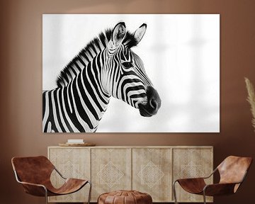 Monochrome zebra van Uncoloredx12