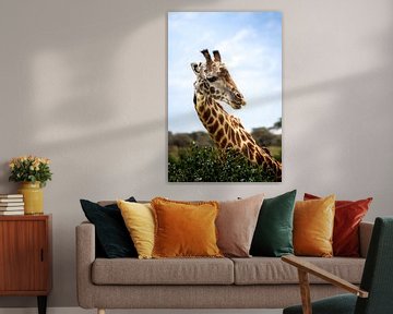 Onderzoekende Giraffe van Sascha Bakker