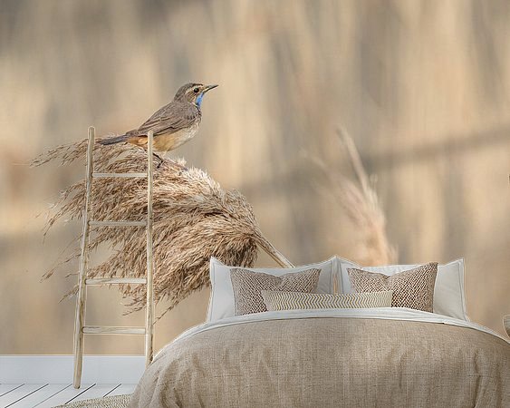 Voorbeeld van het werk in een kamer