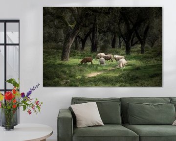 Moutons sous les chênes-lièges sur Detlef Hansmann Photography