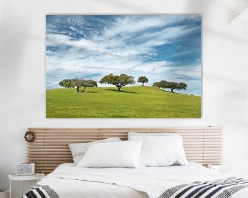 Bäume auf einem Hügel in Portugal von Detlef Hansmann Photography