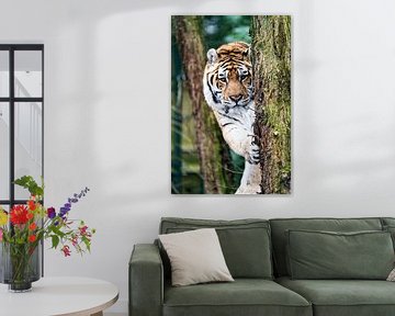 Tiger by Mark Damhuis