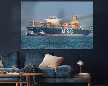 MSC Eva container ship. by Jaap van den Berg