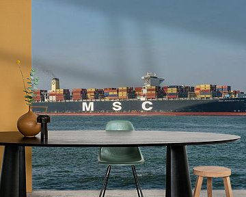 Das Containerschiff MSC Benedetta XIII. von Jaap van den Berg